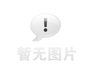 北海道黃楊樹苗